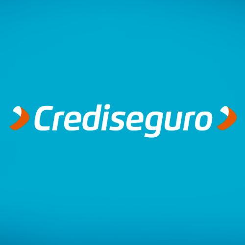 Grupo Puerto Seguro S.A.